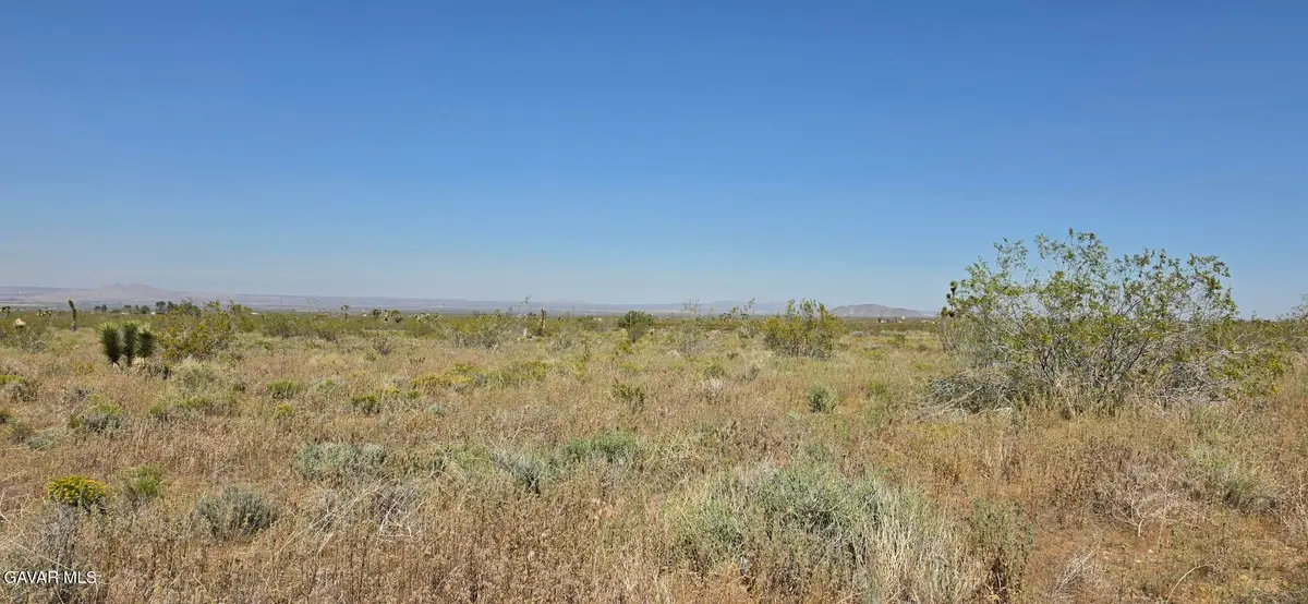 175th St E / Ave W10, Llano, CA 93544 - #1