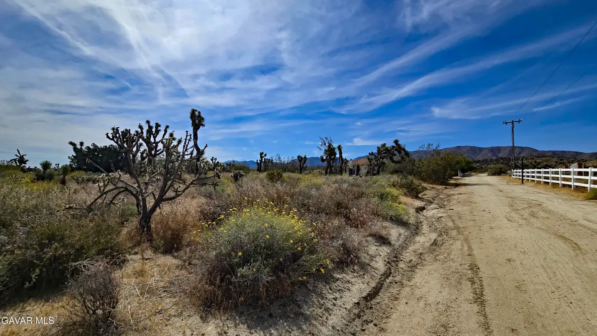 103rd St East Vicinity W14, Juniper Hills, CA 93543 - #1