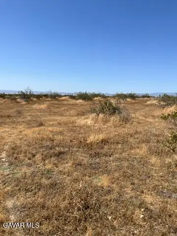 87th West & Felsite Avenue, Rosamond, CA 93560 - #2
