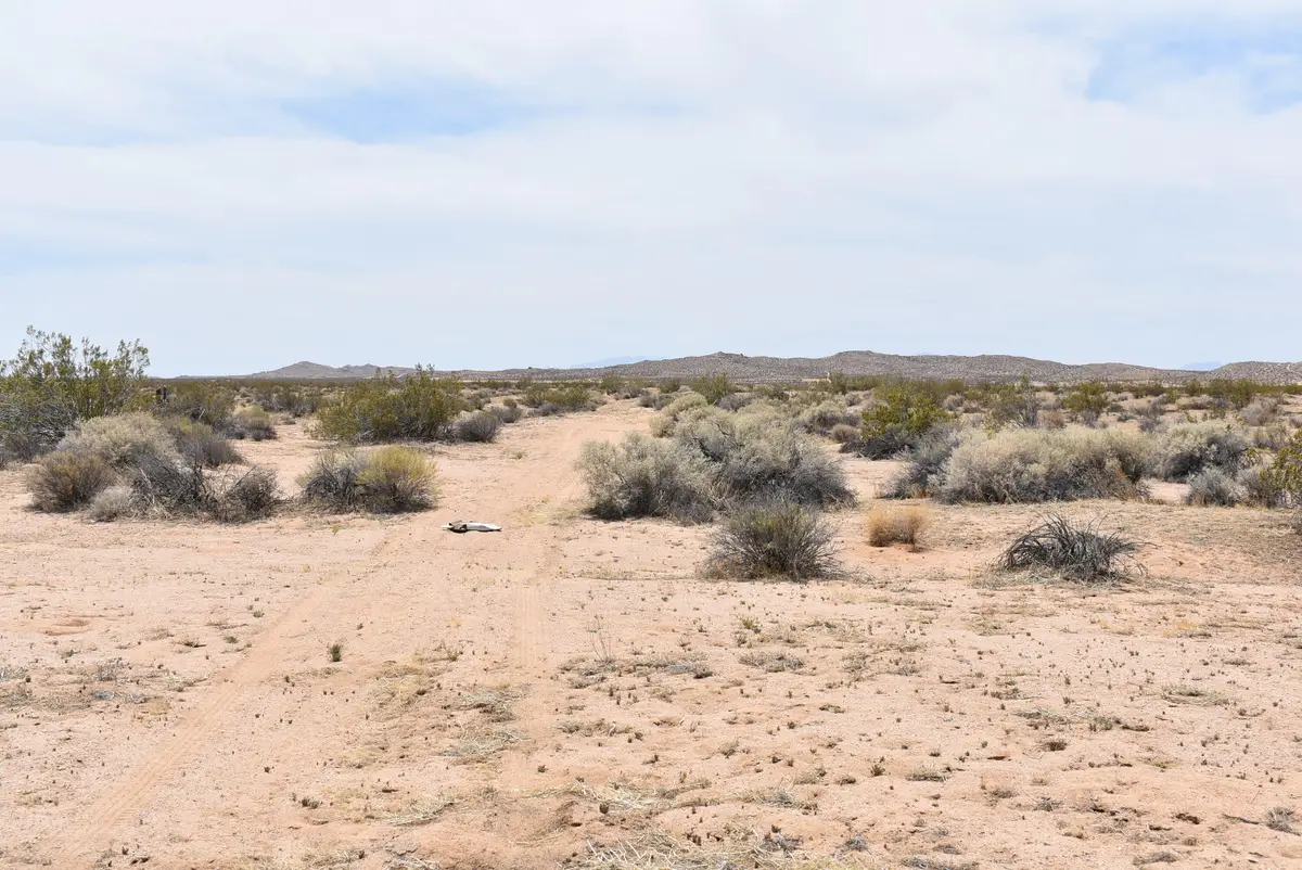 225th St E And Ave B8, North Antelope Valley, CA 93535 - #1
