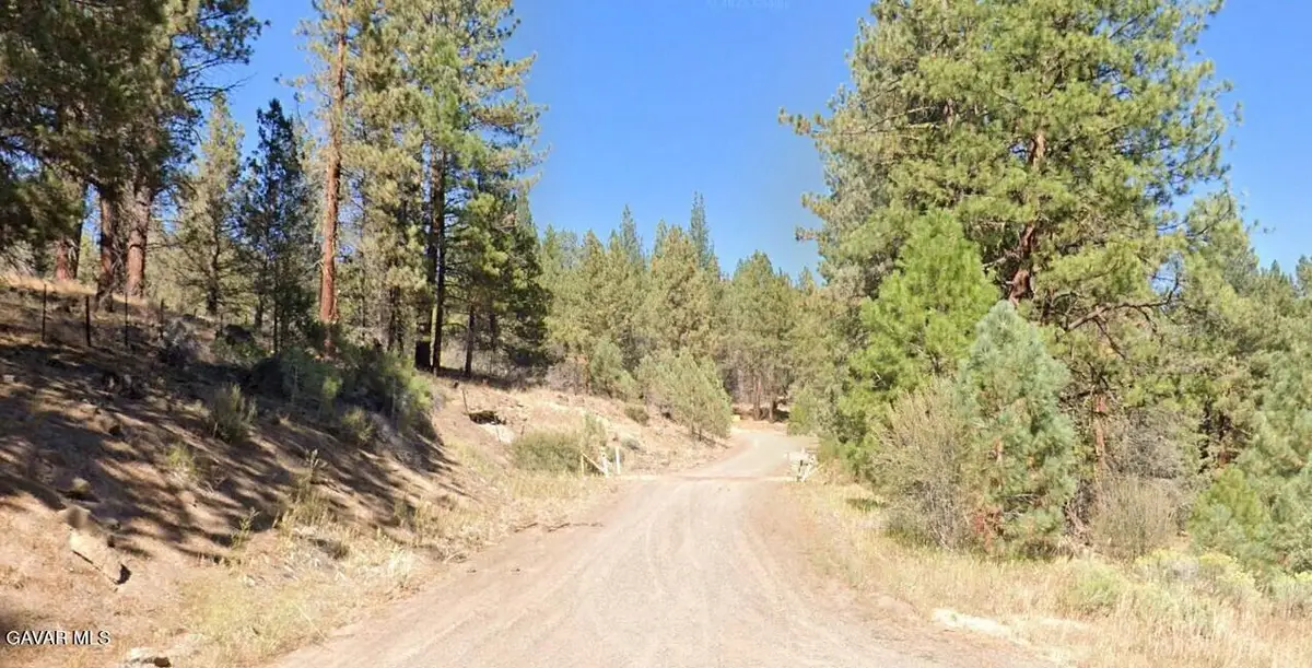 551641 Butte Creek Road, Adin, CA 96009 - #1