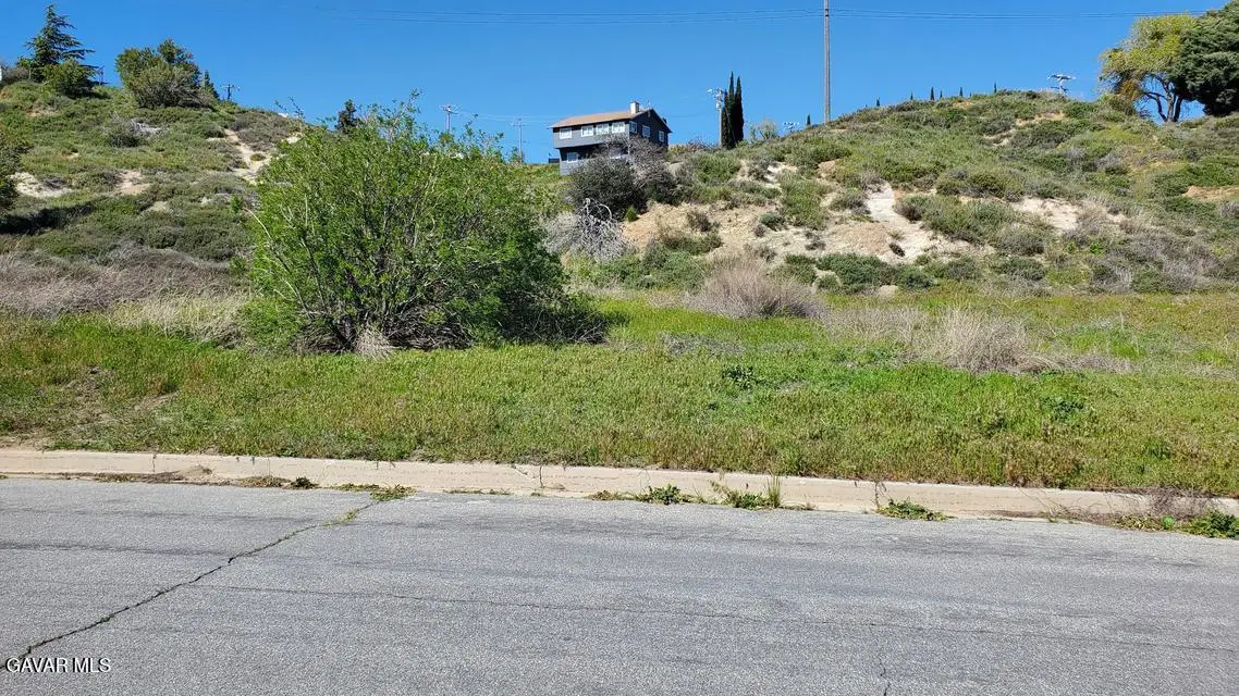 3225-037-003, Elizabeth Lake, CA 93532 - #1
