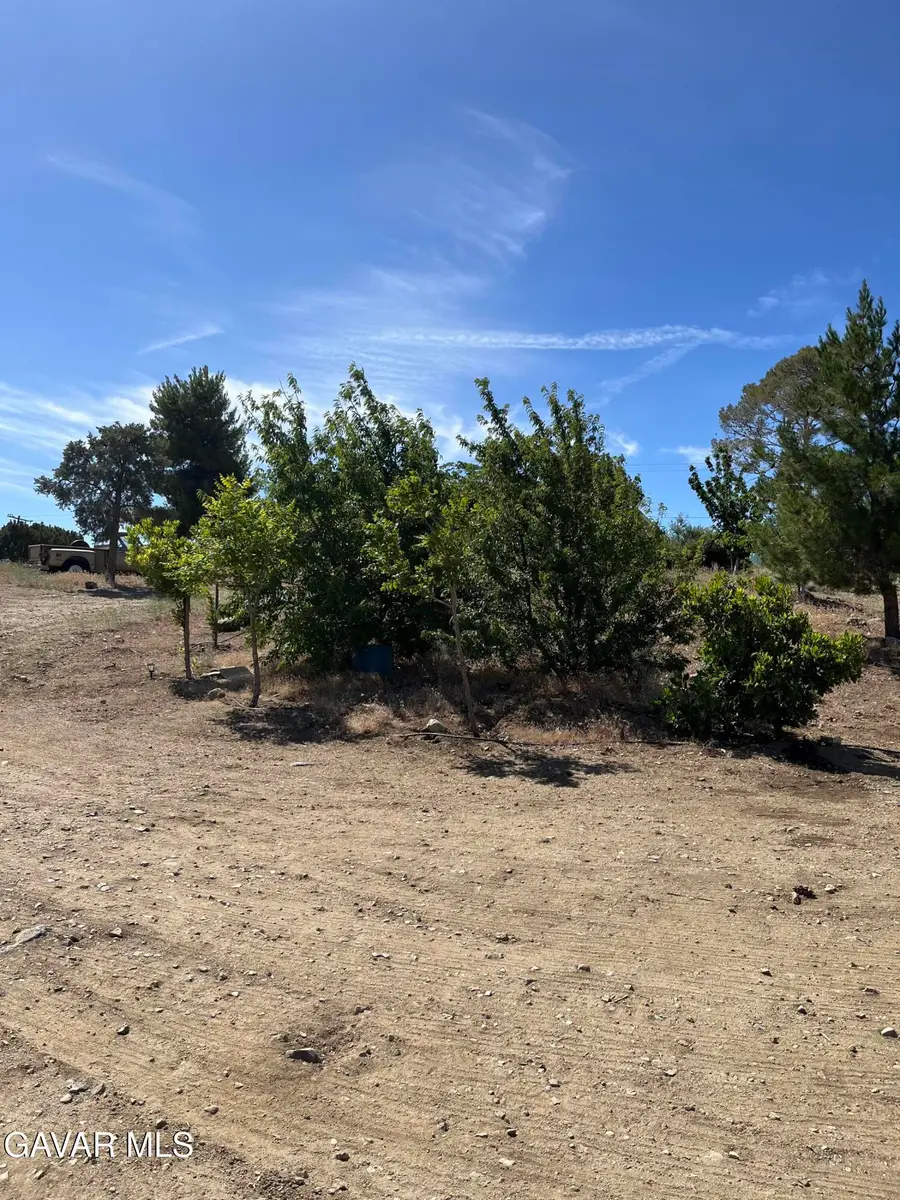 11216 Juniper Mesa Road, Littlerock, CA 93543 - #3
