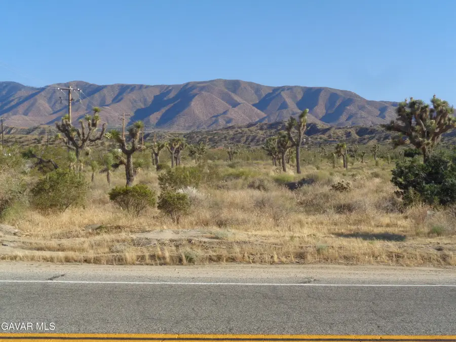 106th Cor Fort Tejon Rd Pav 1, Pearblossom, CA 93553 - #2