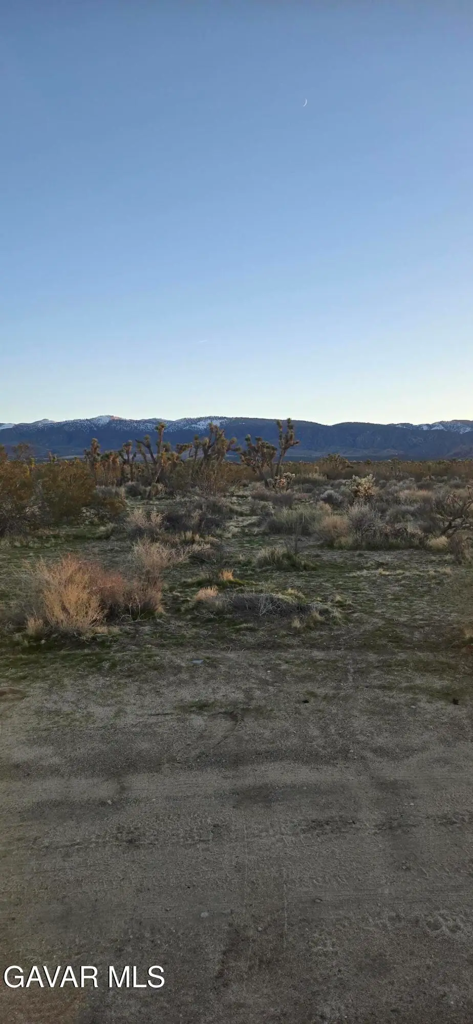 253 Ste Vic Avenue V 253 Ste, Palmdale, CA 93591 - #1