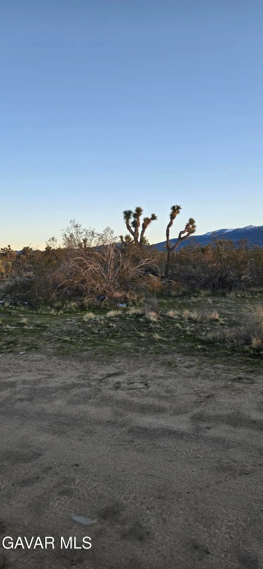 253 Ste Vic Avenue V 253 Ste, Palmdale, CA 93591 - #2