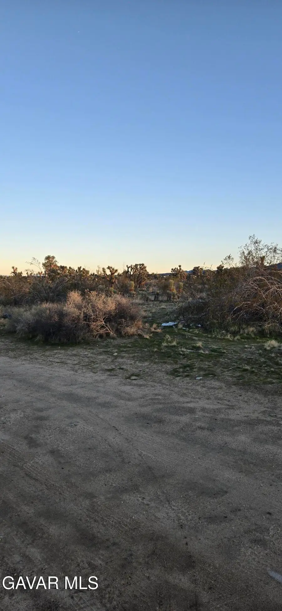 253 Ste Vic Avenue V 253 Ste, Palmdale, CA 93591 - #3