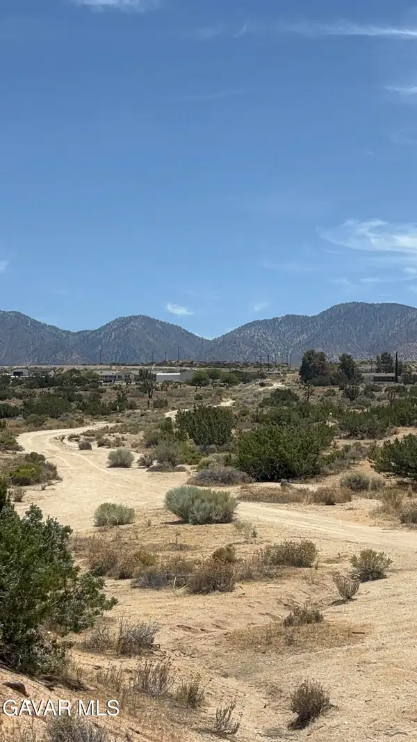 126 E 126 Ste Drt Vic Avenue W10 Ste Street, Pearblossom, CA 93553