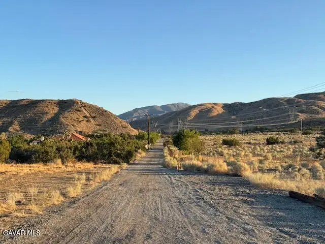 Barrel Springs And Emden Rd, Littlerock, CA 93543 - #2