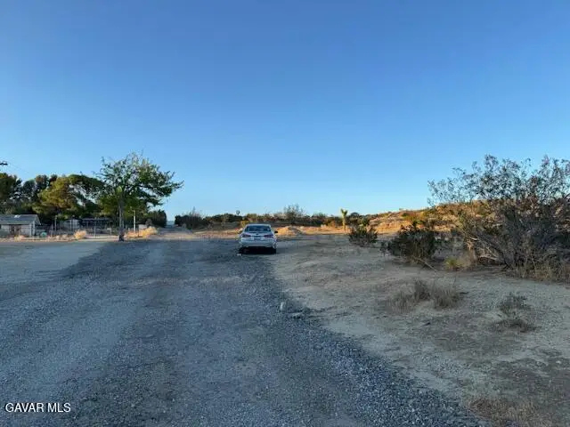 Barrel Springs And Emden Rd, Littlerock, CA 93543 - #3