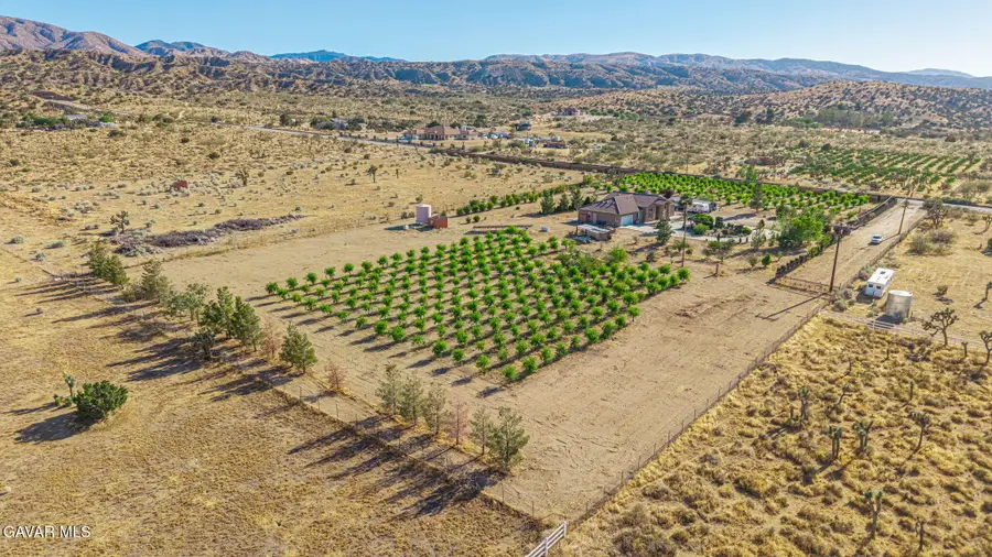 33000 106th Street, Juniper Hills, CA 93543 - #2