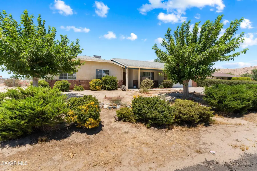 38515 156th Street, Palmdale, CA 93591 - #2