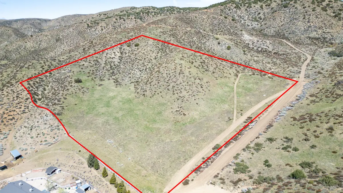 Shallow Springs Road, Leona Valley, CA 93551 - #1