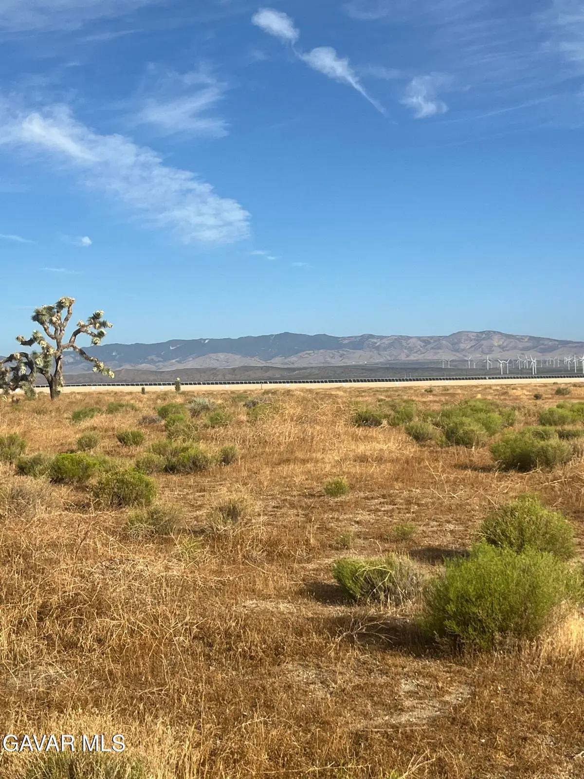 135th W W Ave A Street, Rosamond, CA 93560 - #1