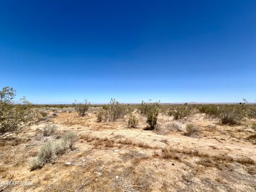 33501 165th Street, Llano, CA 93544 - #3