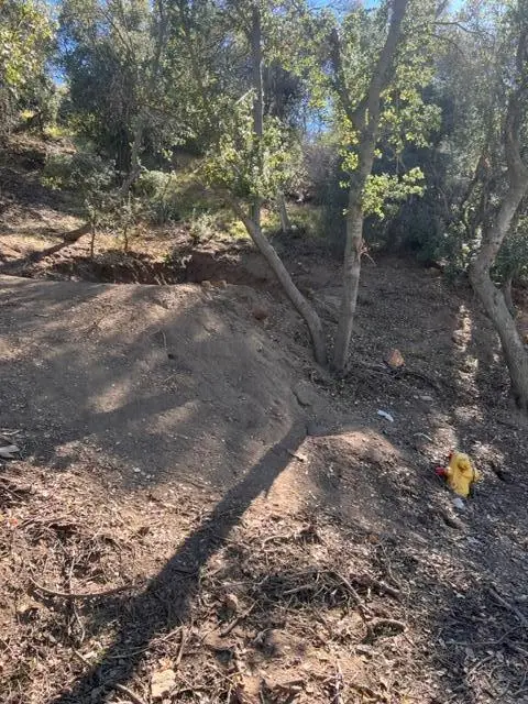 Austin Way / Lakeshore Rd, Lake Hughes, CA 93532 - #2
