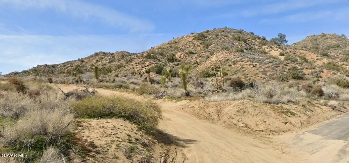 Elk North Of Trail / Joshua Tree National Park, Yucca Valley, CA 92284 - #1