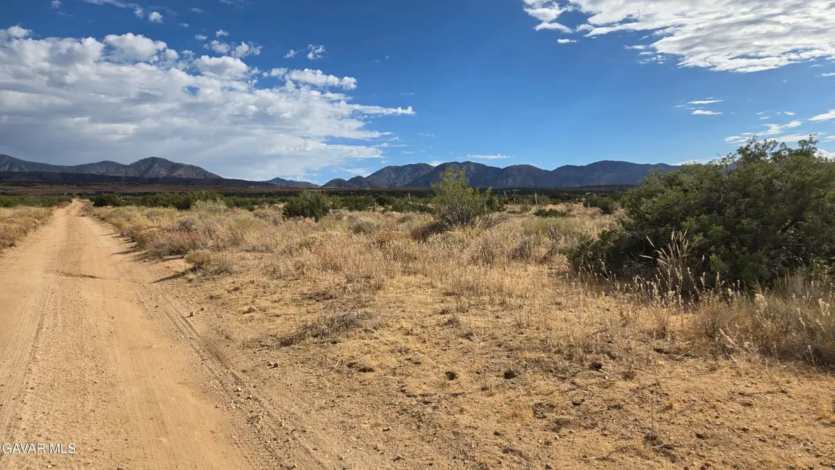 Vicinity Ave X13 & 189th St E, Llano, CA 93544 - #1