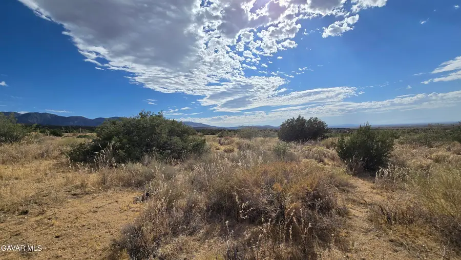 Vicinity Ave X13 & 189th St E, Llano, CA 93544 - #2