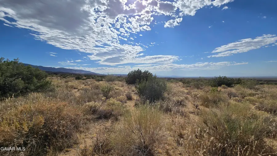 Vicinity Ave X13 & 189th St E, Llano, CA 93544 - #3