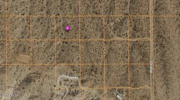 182xx E Vic Avenue Z Street, Llano, CA 93544 - #2
