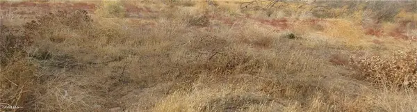 04333001075 Twisselman Road, Lost Hills, CA 93249