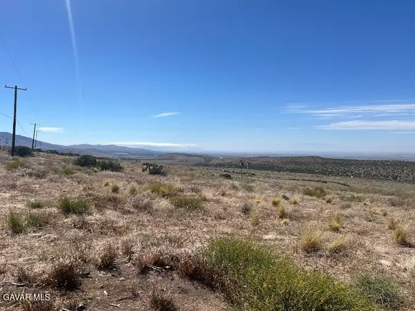 0 Vac/vic 200 Street, Mount Waterman, CA 93544