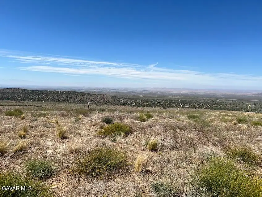 0 Vac/vic 200 Street, Llano, CA 93544 - #2