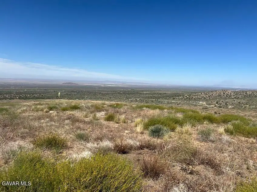 0 Vac/vic 200 Street, Llano, CA 93544 - #3