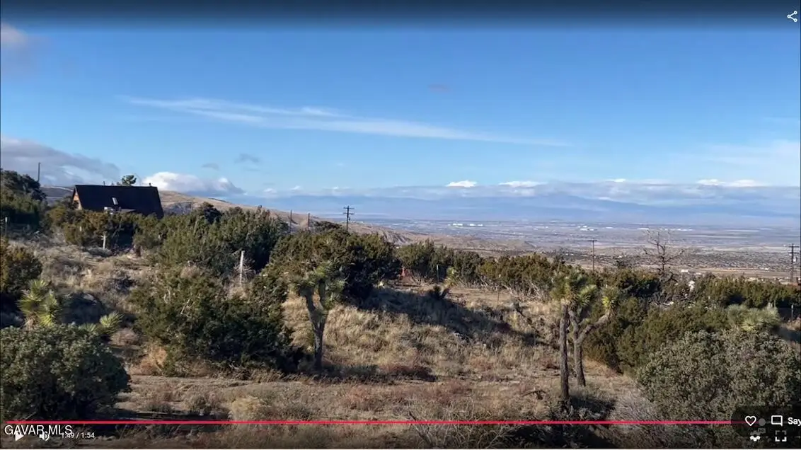 11890 Juniper Hills Road, Littlerock, CA 93543 - #1