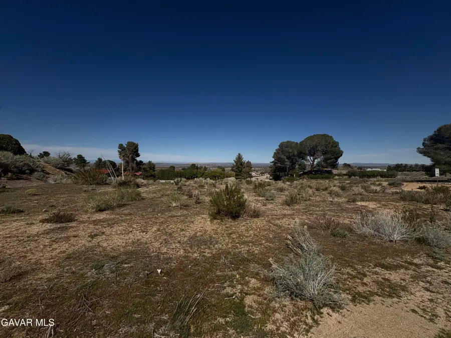 Boca Raton Avenue, Llano, CA 93544 - #3