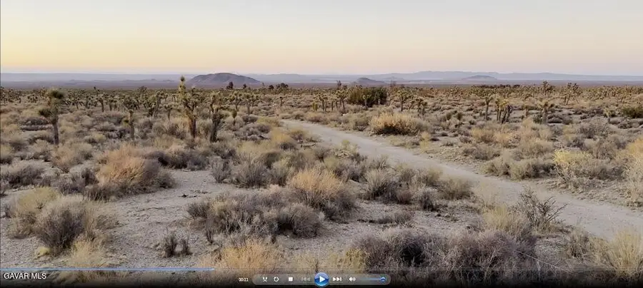 220 E Avenue X, Llano, CA 93544 - #2