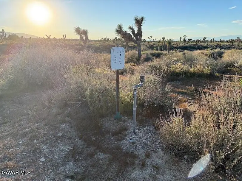 220 E Avenue X, Llano, CA 93544 - #3