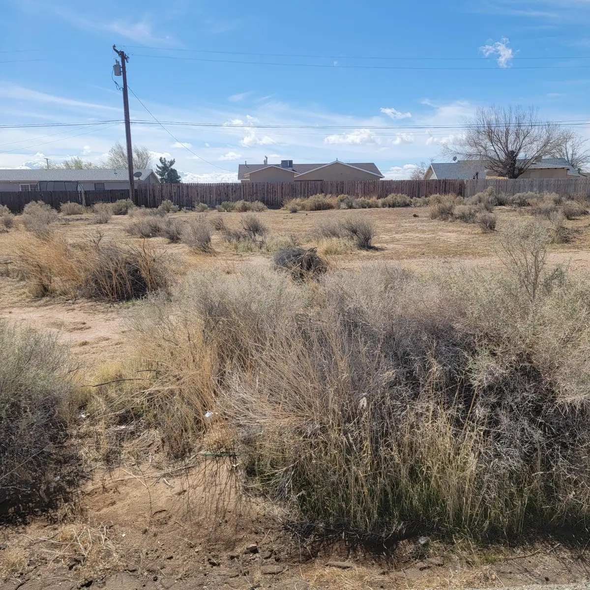Ironwood Avenue, California City, CA 93505 - #1