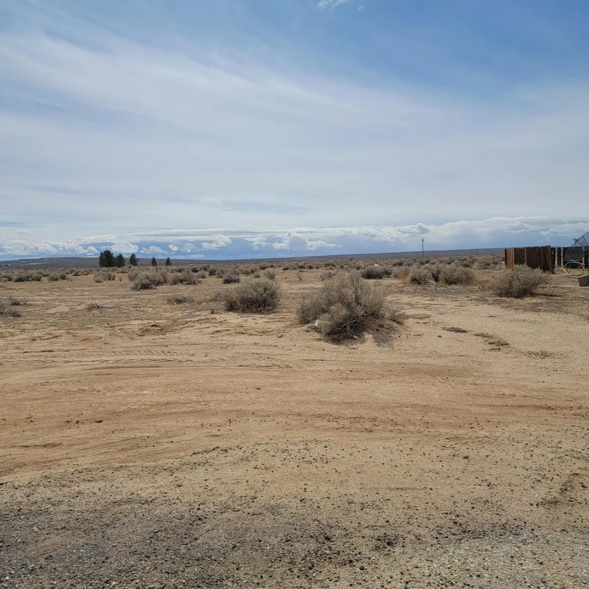 Sherwood Avenue, California City, CA 93505 - #1