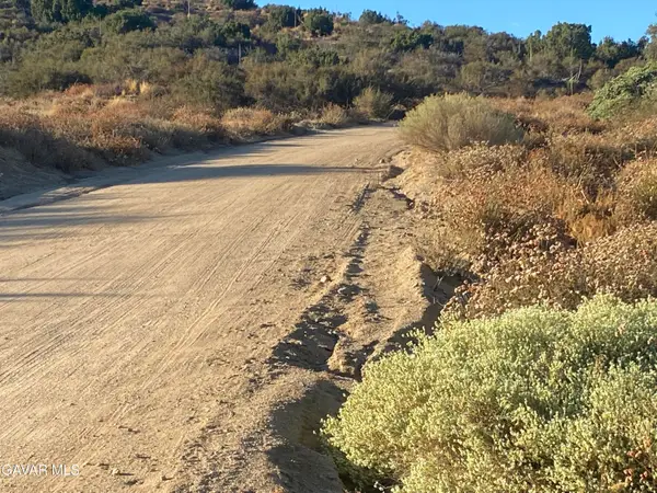 32100 N Hughes Canyon Road, Acton, CA 93510