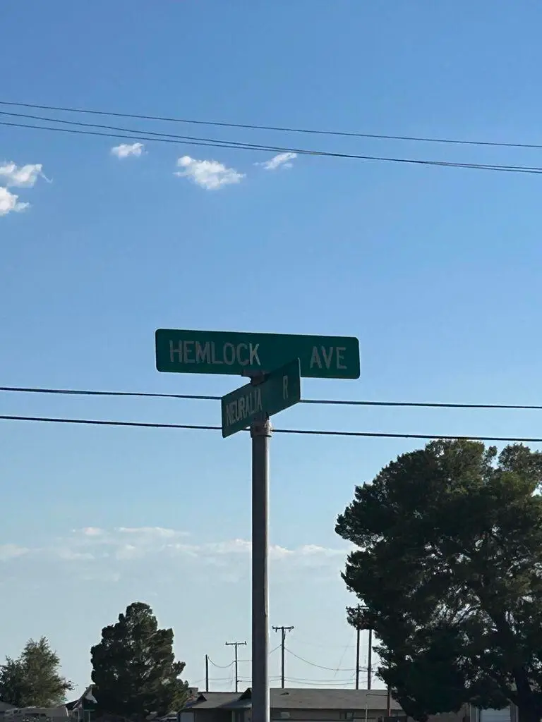 Hemlock Avenue, California City, CA 93505 - #2