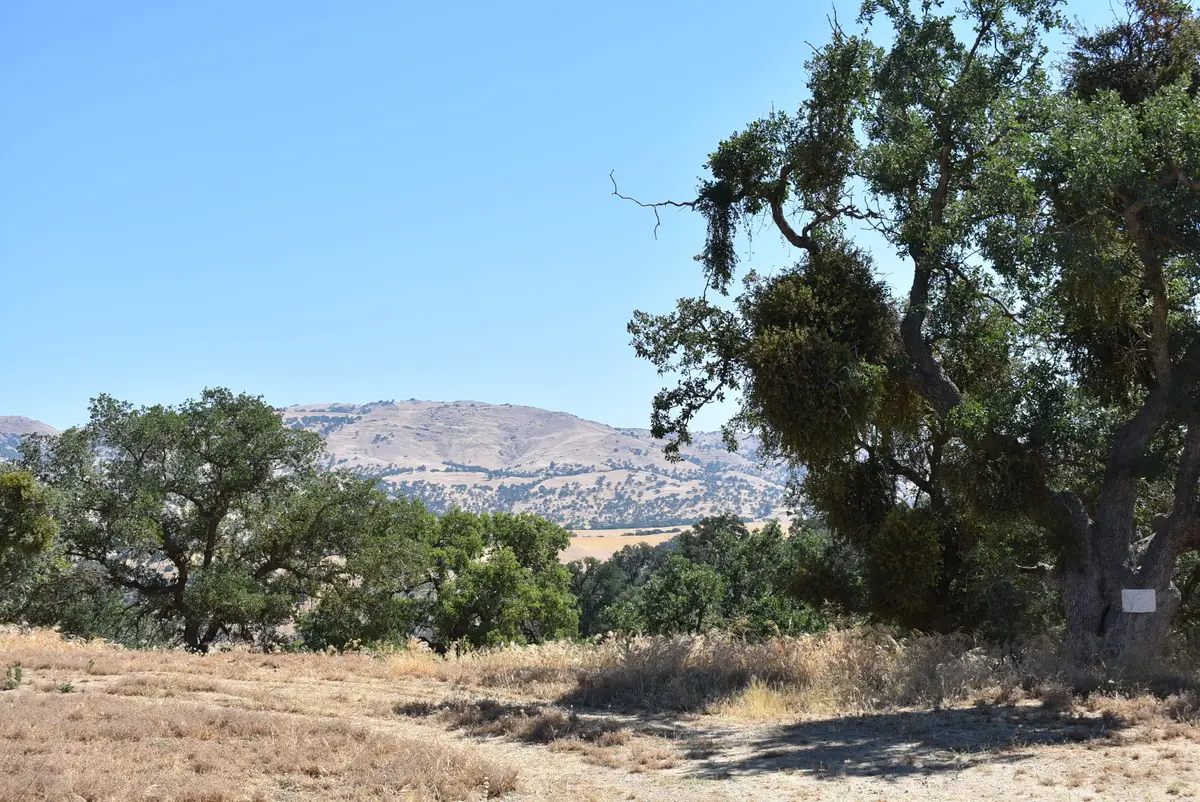 22948 Rim Way, Tehachapi, CA 93561 - #1