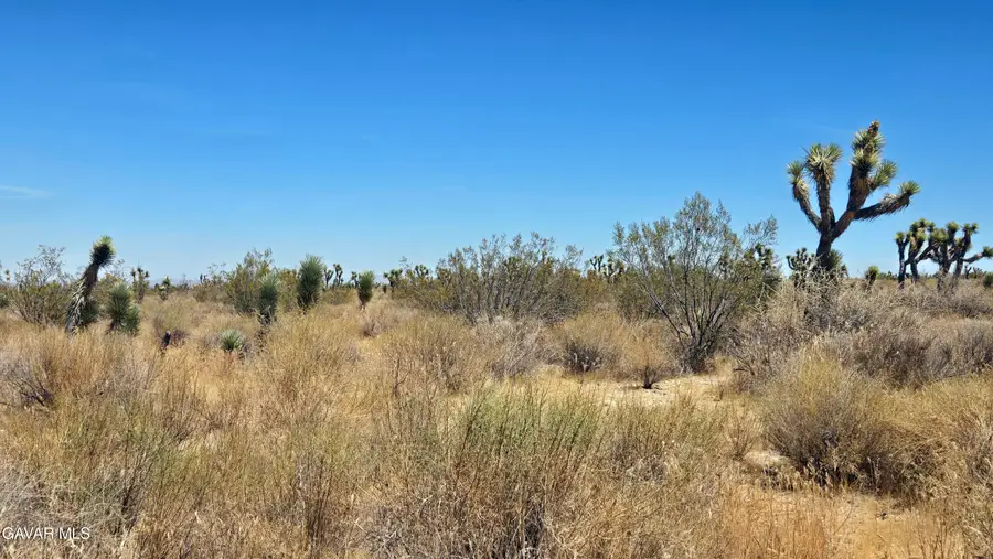 Vicinity Avenue X4 & 231st St E, Llano, CA 93544 - #2