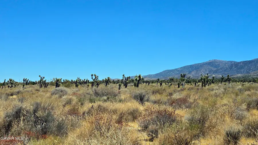 Vicinity Avenue X4 & 231st St E, Llano, CA 93544 - #3