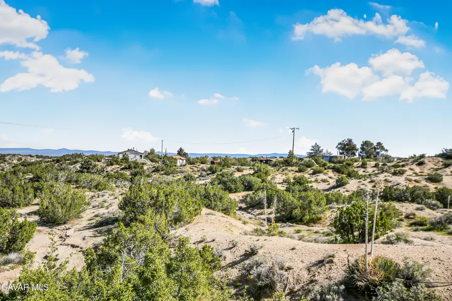 31720 E 96th Street, Littlerock, CA 93543 - #2