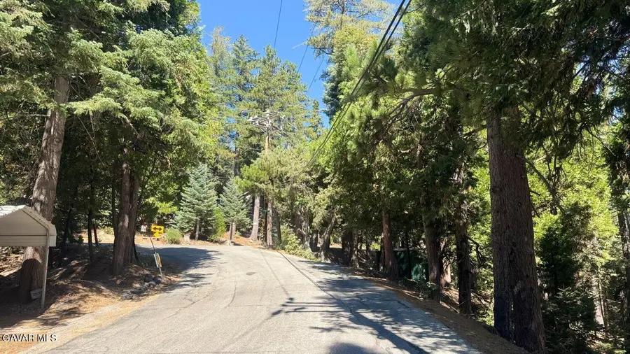 26578 Lake Forest, Twin Peaks, CA 92391 - #2