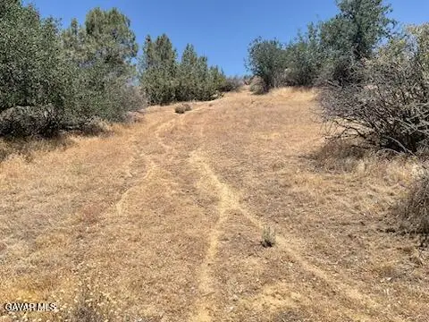 Rancharia Creek Road, Caliente, CA 93518 - #1