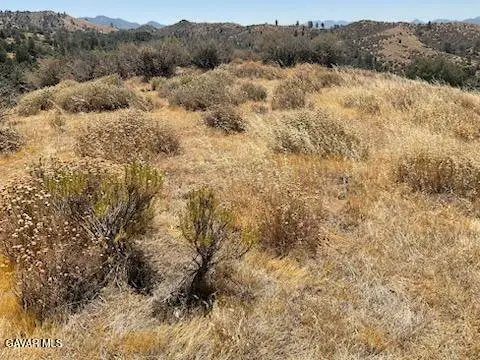 Rancharia Creek Road, Caliente, CA 93518 - #3