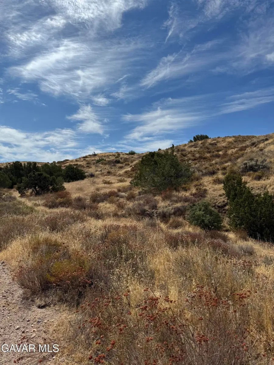 Carson View Ln & Ave V Ca, Palmdale, CA 93550 - #2