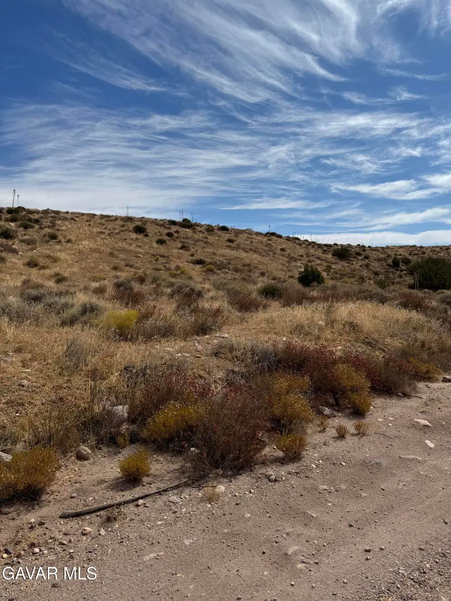Carson View Ln & Ave V Ca, Palmdale, CA 93550 - #3