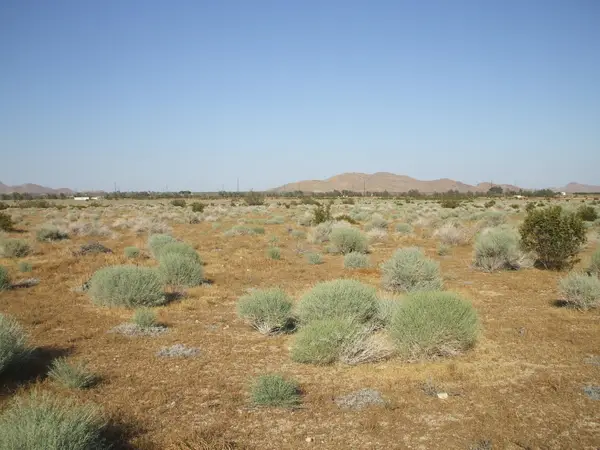 000 N Vim, Rosamond, CA 93560