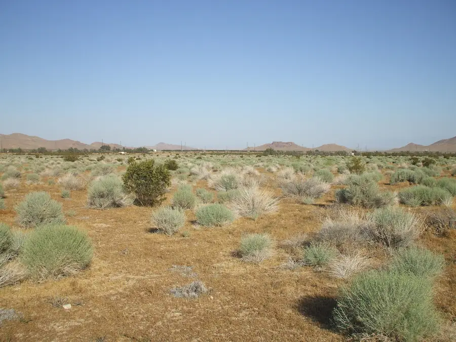 000 N Vim, Rosamond, CA 93560 - #3