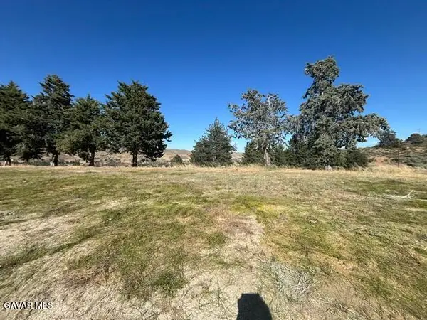 40007 W 92nd Street, Leona Valley, CA 93551