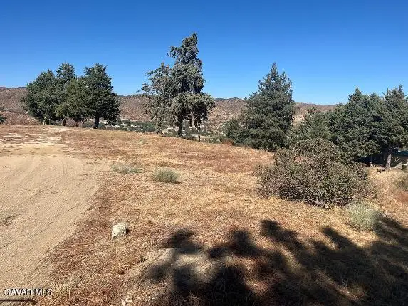 40007 W 92nd Street, Leona Valley, CA 93551 - #2